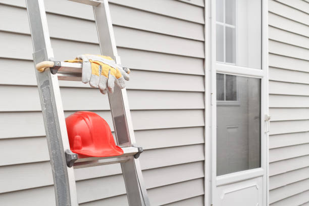 Best Furniture Removal  in Lewisburg, KY