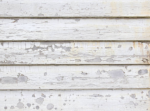 Best Carpet Removal and Disposal  in Lewisburg, KY